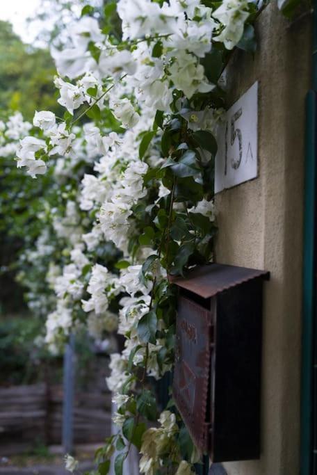 Apartamento Genova Garden, Vicino Al Gaslini E Boccadasse Exterior foto